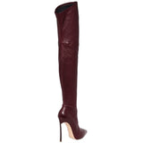 azmodo Pointed Toe Fashion Knee High Boots