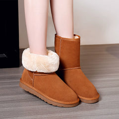 New Arrival