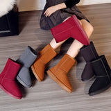 Women's Cozy Chestnut Fur-Trim Winter Ankle Boots