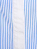 Hidden Button Lantern Sleeve Plus Size Women's Blouse