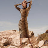Leopard print long sleeve slim bodycon sexy dress 2020 autumn winter women streetwear party festival dresses outfits