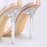 azmodo Clear Pointed Toe High Heels